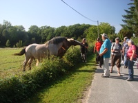 belle rencontre p